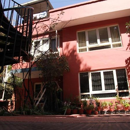 Ojas Wellness B&B 랄릿푸르 외부 사진